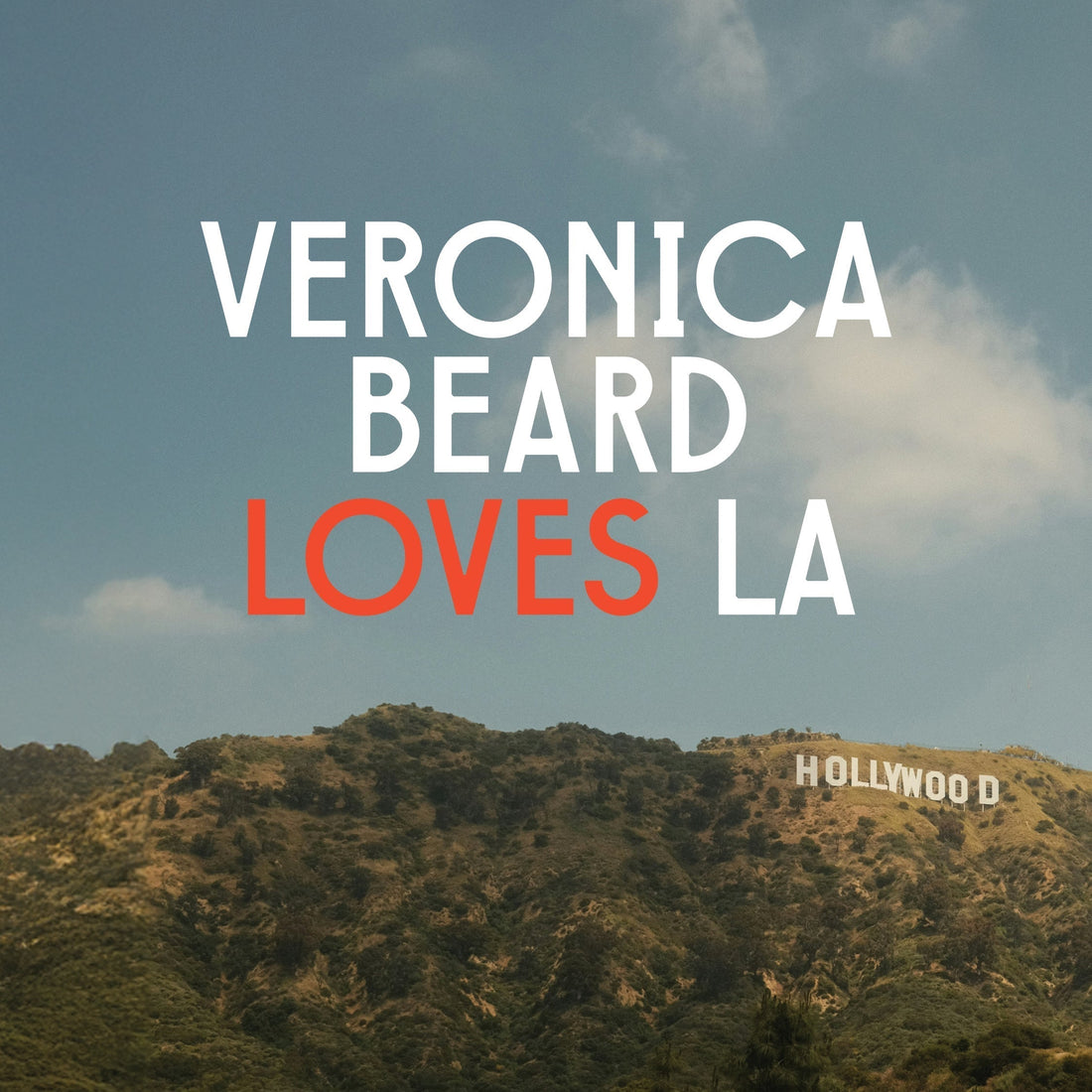 VB Loves LA: Wildfire Relief Update